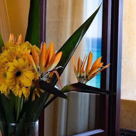 Hotel Grande Delle Rose (adults Only)